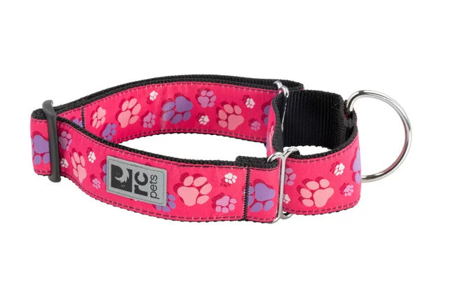 RC Pets All Webbing Wide Training Collar Fresh Tracks