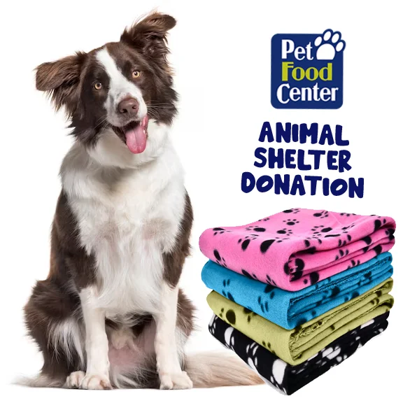 Shelter Dog Beds/Blankets - Let us Pick for You - ACA