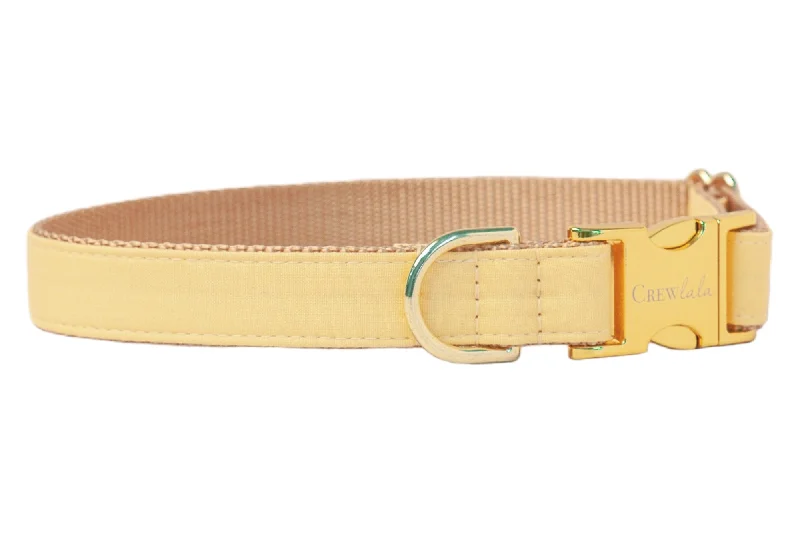 Citrus Yellow Dog Collar