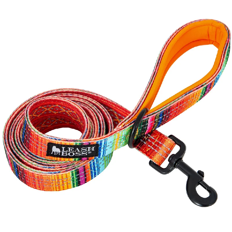 Double-Thick 6 Foot Reflective Leash with Padded Handle - Pattern Collection