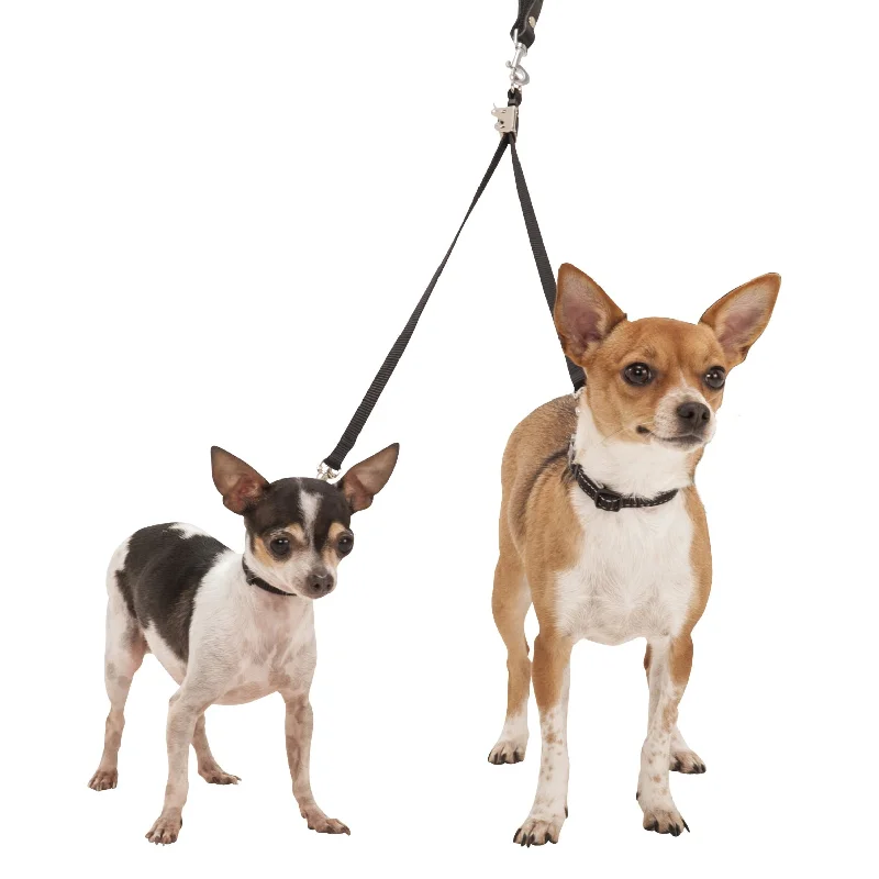 Double Dog Leash & Coupler