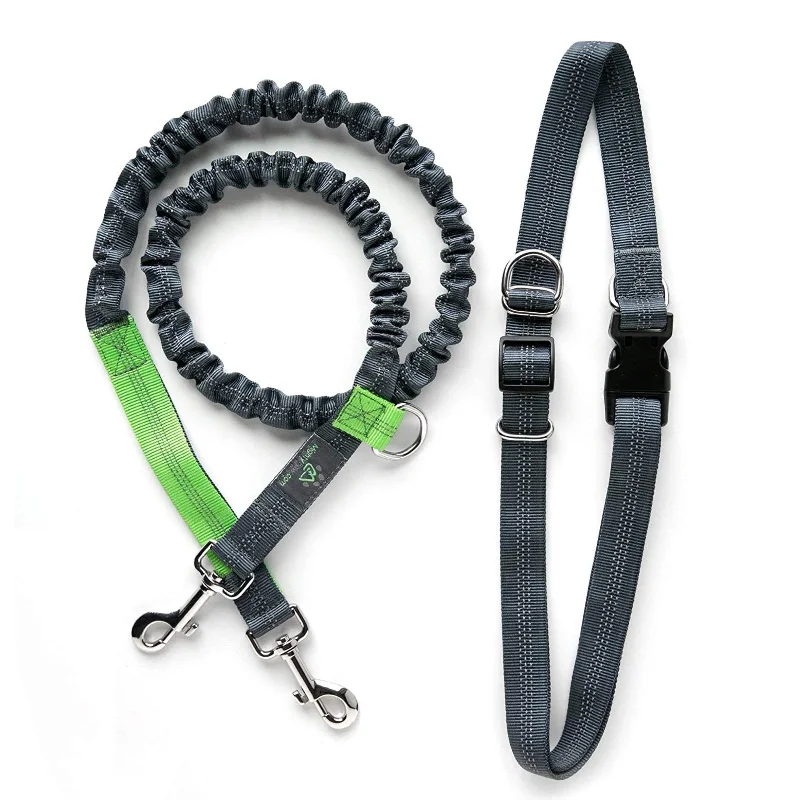 Mighty Paw Hands-Free Bungee Leash Set for Active Dog Owners