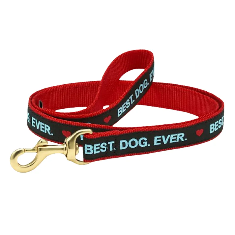 Leash | Best. Dog. Ever.