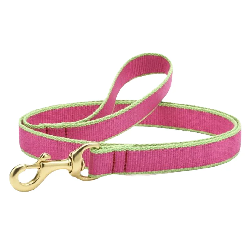 Leash | Bright Pink & Lime