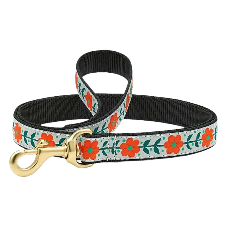 Leash | Orange You Pretty