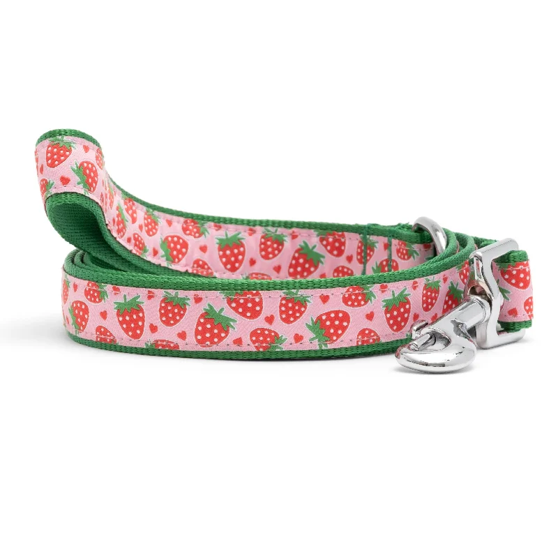 Leash | Strawberries