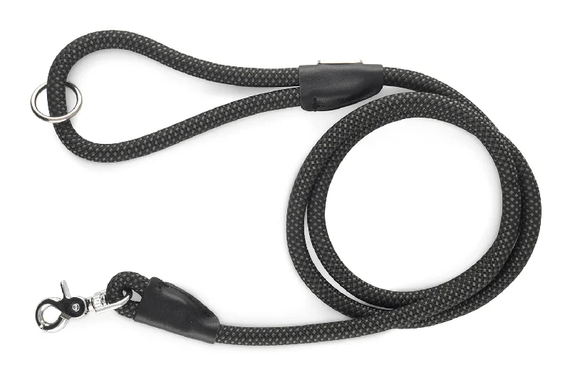 Mod Essentials Leash, 5 ft