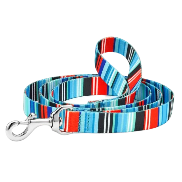 Sport Leash | Serape Stripe