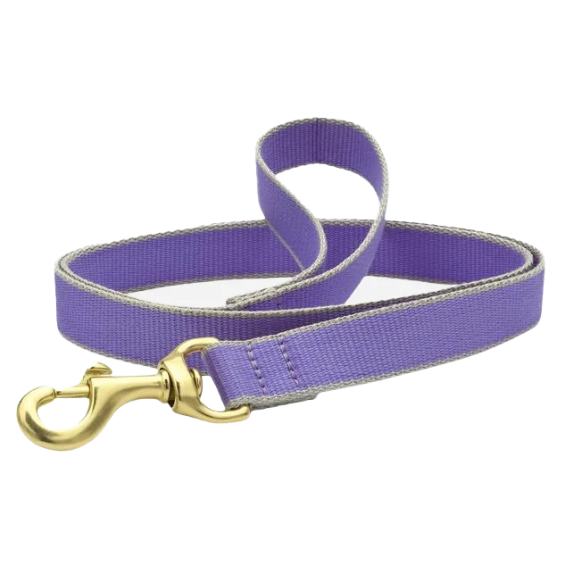 Teacup Leash | Purple & Gray