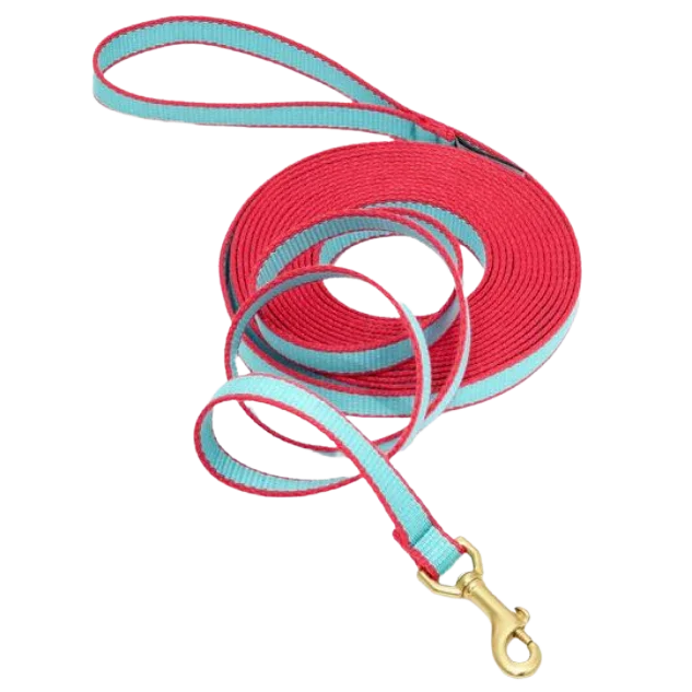 Training Leash | Aqua & Coral