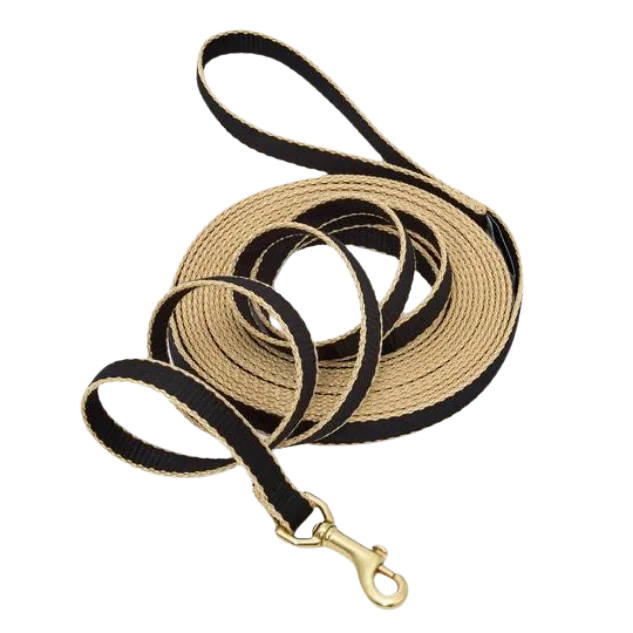 Training Leash | Black & Tan