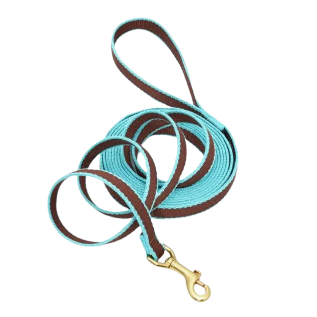 Training Leash | Brown & Aqua