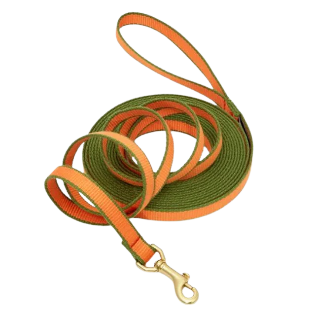 Training Leash | Tangerine & Pine