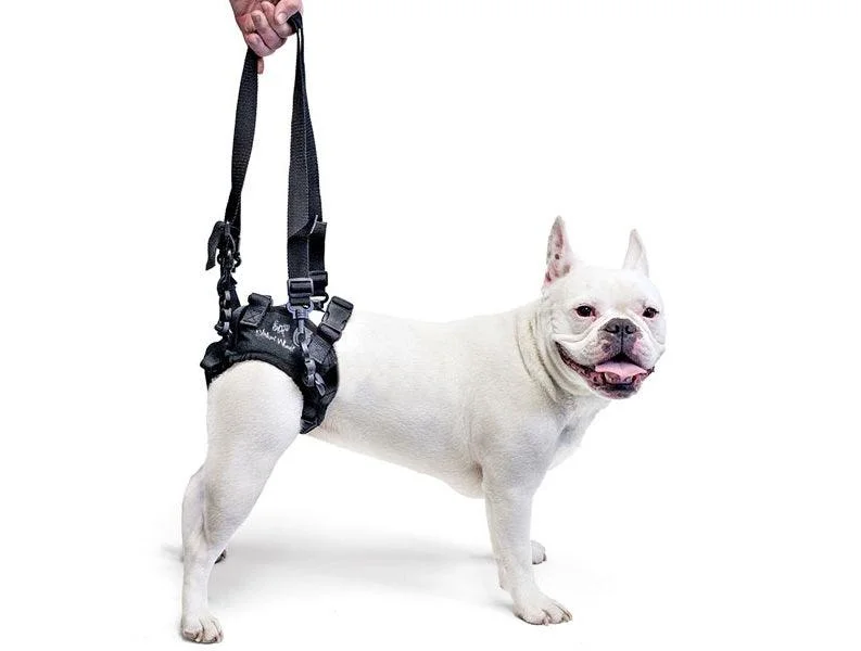 Walkin Rear Lift Dog Harness - best for Walkin Wheelchair