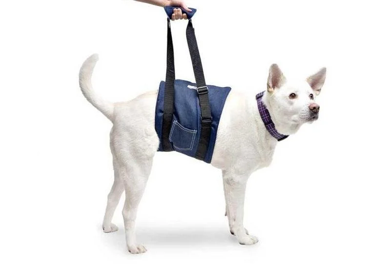 60% Discount - Walkin Dog Support Sling