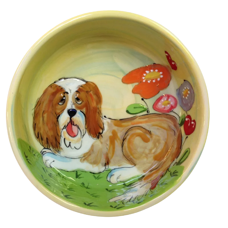 Havanese Bowl