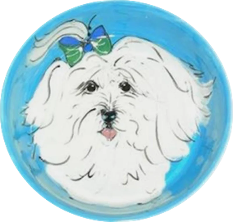 Jeanne's Sweet 'n Neat Coton de Tulear