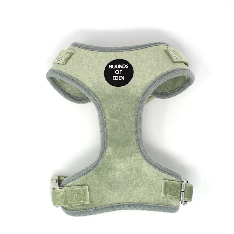 Sage Mist - Green Velvet Dog Harness with Silver Metal Hardware