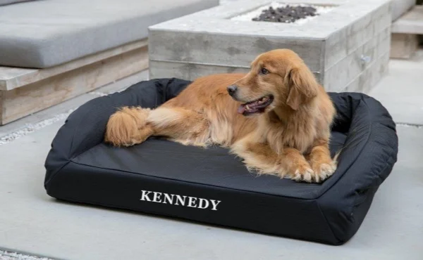 Dog Furniture